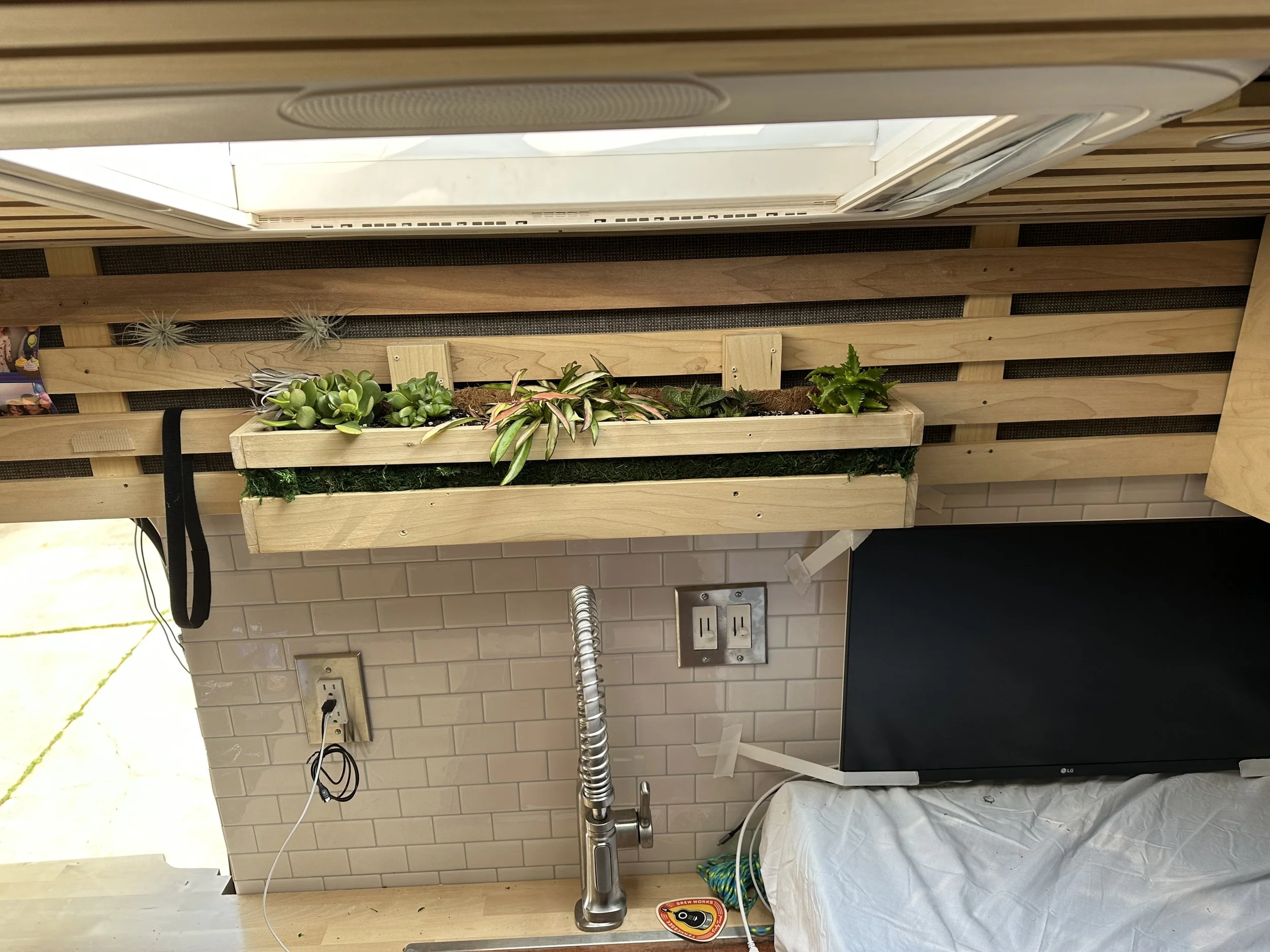 Garden - Photo 4